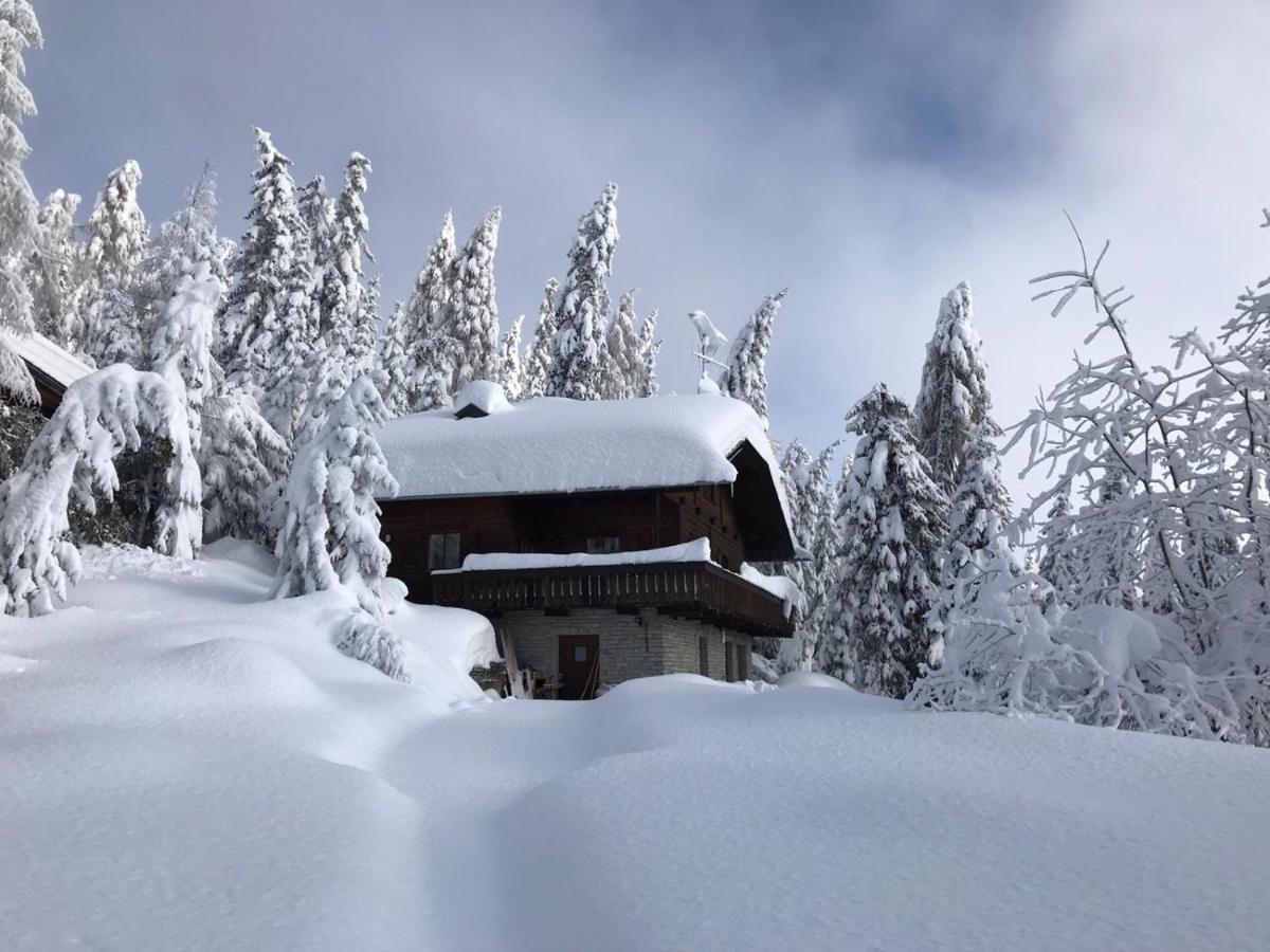 Kronplatz Ski Lodge Olang Extérieur photo